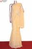 Exclusive Thread Embroidery Pure Silk Chiffon